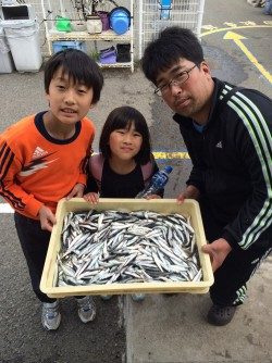 和歌山マリーナシティ釣り公園　サビキでイワシの大漁釣果