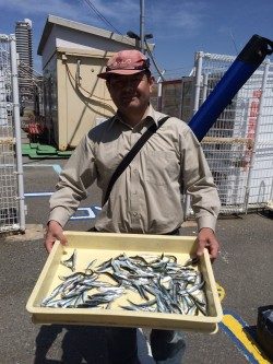 和歌山マリーナシティ海釣り公園 サビキで豆イワシの釣果