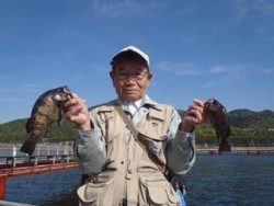 須磨海釣り公園　サビキでメバル3尾の釣果