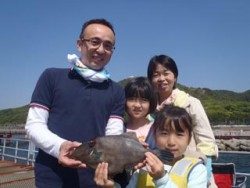 須磨海釣り公園　サビキにウマヅラハギ35cm