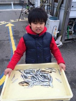 和歌山マリーナシティ海釣り公園 イワシ釣れて楽しかった！