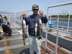 尼崎市立魚つり公園 サビキイワシとエビ撒きハネの釣果