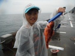 和歌山北港魚つり公園 グレがよく釣れました