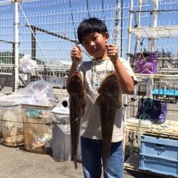 和歌山マリーナシティ海釣り公園 ワームで狙って良型マゴチ