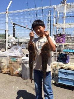 和歌山マリーナシティ海釣り公園 ワームで狙って良型マゴチ