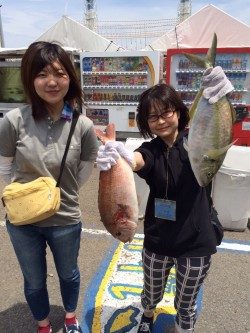 和歌山マリーナシティ海洋釣り堀 シマアジとマダイをゲット