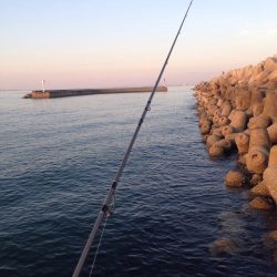 小物釣り