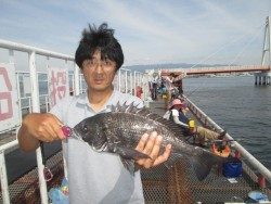 様紀州釣りで４５ｃｍのチヌ　尼崎市立魚つり公園