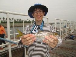 サバ、イワシの回遊のアリ！尼崎市立魚つり公園