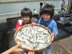 尼崎市立魚つり公園 サビキで嬉しい魚種が出始めました