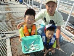 尼崎市立魚つり公園 サビキで嬉しい魚種が出始めました