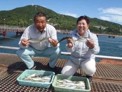 神戸市立須磨海づり公園 食べ頃サイズのアジ釣れてます