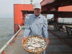 アジ大漁ゲットです♫　尼崎市立魚つり公園
