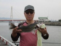 尼崎市立魚つり公園 エビ撒きでスズキ