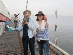 サビキでアジゲット！尼崎市立魚つり公園