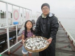 尼崎市立魚つり公園　サビキで数釣り