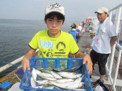 尼崎市立魚つり公園 サッパ3000匹！他魚種多数です