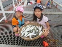 尼崎市魚つり公園　今日もサビキで大漁釣果