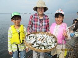 尼崎市立魚つり公園、サッパとイワシは午前中