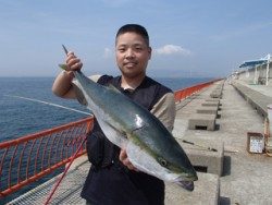 神戸市立平磯海づり公園　ブリ86cm！　記録賞！