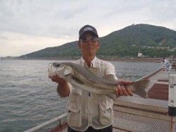 和歌山北港魚つり公園　ハネ 	59cm