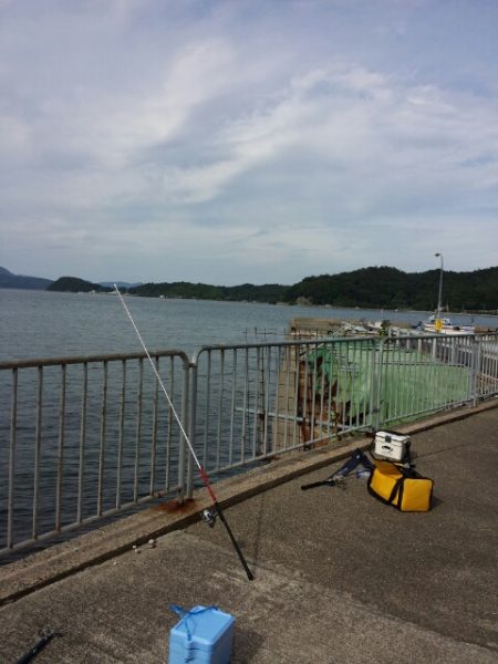 養老と栗田のアオリイカと獅子矢原のキス釣り