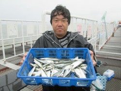 尼崎市立魚つり公園　サヨリも釣れてます