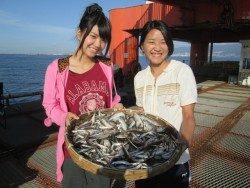 尼崎市立魚つり公園 イワシ６００匹オーバーの大漁！