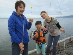 尼崎海釣り公園　サビキの釣行は午前がオススメ
