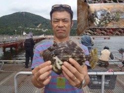 須磨海釣り公園　胴突きでカワハギ24.6cm