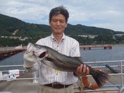 須磨海釣り公園　ノマセでハネ＆スズキ