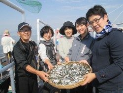 尼崎海釣り公園　イワシは朝から釣れっぱなし