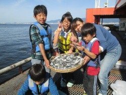 尼崎市立魚つり公園　イワシ100匹や200匹は当たり前！