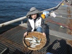 尼崎市立魚つり公園　釣れる魚種も増えてきました！