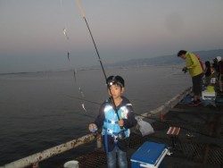尼崎海釣り公園　イワシは今日も好調です