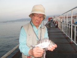 尼崎市立魚つり公園　サヨリ安定して釣れています！