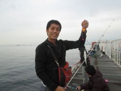 尼崎市立魚つり公園　サヨリの釣果は安定！