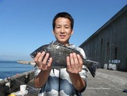 北港海釣り公園　チヌ39cmの釣果