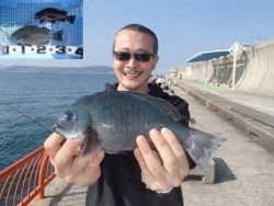 神戸市立平磯海づり公園　ウキ釣りでグレ、メバル