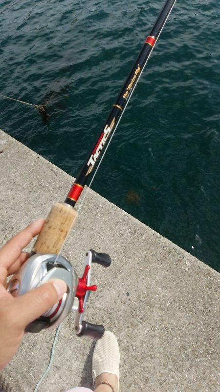 太刀魚不発も１、２キロの大タコゲット。