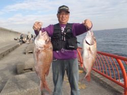 神戸市立平磯海づり公園 シラサのウキ釣りで良型マダイ