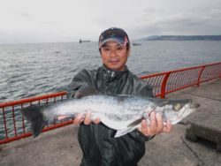 神戸市立平磯海づり公園　ウキ釣りでスズキ