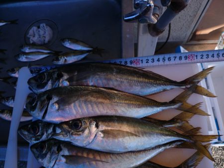 釣り納め！今年最後の日本海遠征