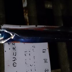 大津川尻高場で太刀魚1匹ゲット