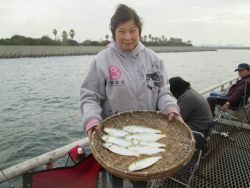 尼崎市立魚つり公園 サビキ釣りでコノシロ