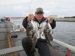 尼崎市立魚つり公園　シラサエビでチヌ、セイゴ