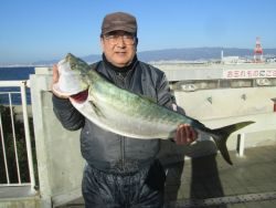 尼崎市立魚つり公園 シラサのウキ釣りでハネ・チヌ