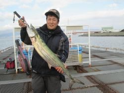 尼崎市立魚つり公園 アジのノマセでサワラ93cm！