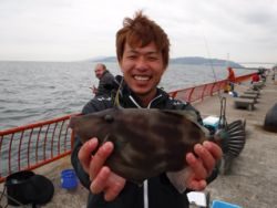 ウキ釣りでウマヅラ！神戸市立平磯海づり公園