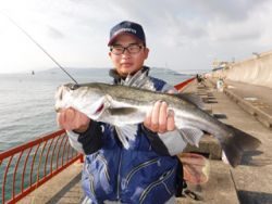 神戸市立平磯海づり公園 スズキサイズがヒット